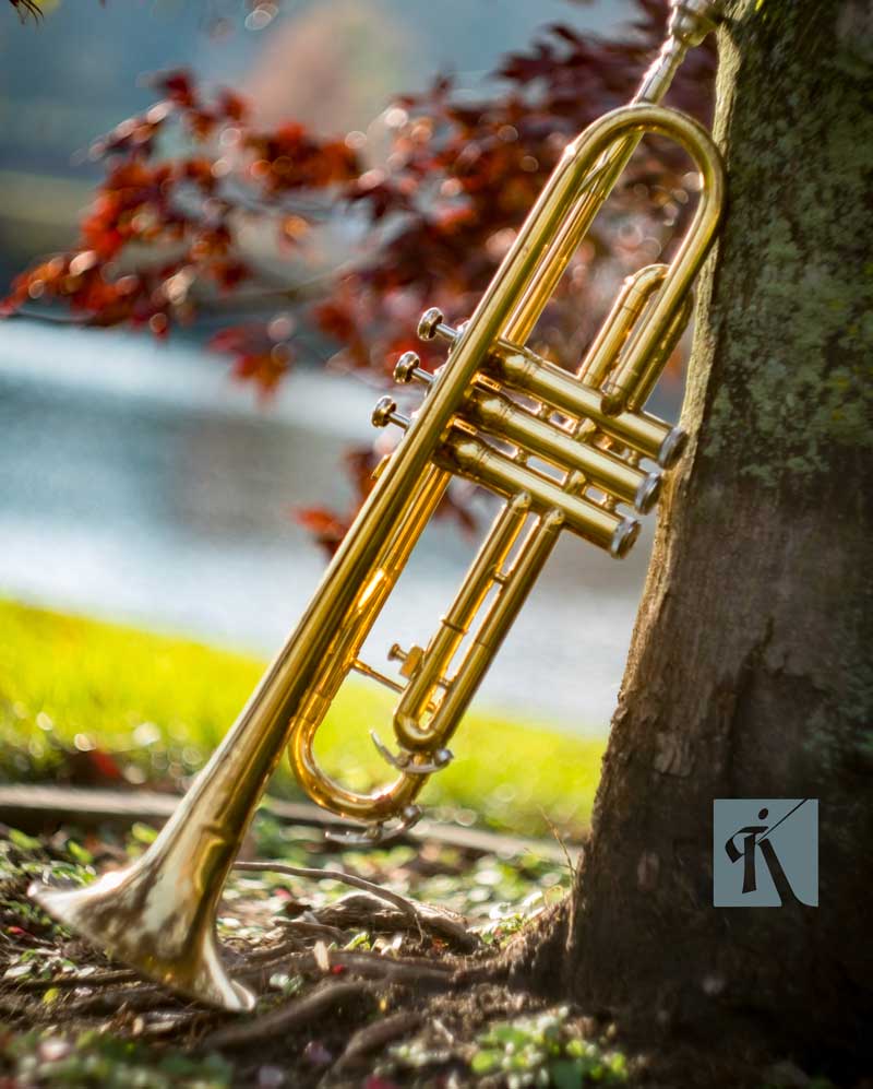 trumpet in nature image