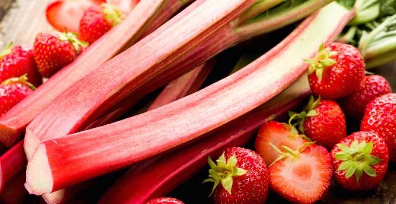 rhubarb fest image